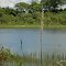 Represa do Córrego Santana a margem do Km-122 da rodovia SP-373. Rodovia Dona Genoveva Lima de Carvalho Dias, que liga as cidades de Morro Agudo e Jaborandi.