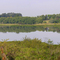 Vista Panorâmica