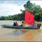 Bandeira de S. Pedro, by Vivolpato