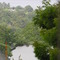 BINGERVILLE