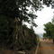 bingerville