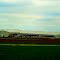 Rock Prairie Dairy