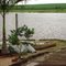 QUINTAL DO RANCHO