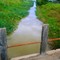 Canal de coqueiros