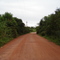 Estrada de terra