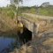 Ponte Canal Coqueiros