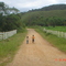 Pindaúba- SP