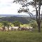 Vista do Vale de Brodowski, no horizonte as montanhas de Altinópolis