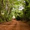 Estrada de chão