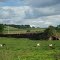 ANTIGA FAZENDA CACHOEIRA