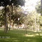 Bosque das Nações