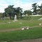 Cosmópolis -praça