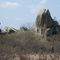 Bonito de Santa Fé_Caatinga II