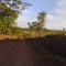 Estrada Rural - Birigui - Sp