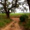 Entrada antigo campo do Juá