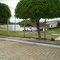 Brejo das Freiras