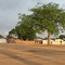 Árvores próxima ao campo de futebol