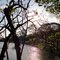 Araras: reflexo do sol no lago municipal central