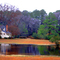 House in the wood not far from Jamestown.