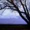 The James River from Jamestown Island.