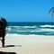  sea and palm trees