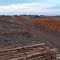 Matéria prima para papel,ecologicamente correta