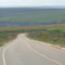 MG 308, plantação de eucaliptos,  Arcelormittal Jequitinhonha - Proximo a Capelinha, Minas Gerais _ BRASIL
