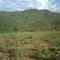 Fazenda Fanado,Capelinha MG- Carlos  galves  madeiras
