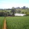 SITIO JAMMUS