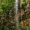 Gotas de Cristal - Faxinal