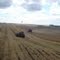Granja Begrow