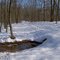 3rd Battle of Winchester Trail