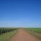 Paisagem Rural