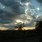 por do  sol    ponta pora  ms