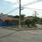 02/07/09 - Florestal - MG