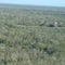 Piúva do Paiaguás