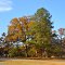 VIRGINIA: GLOUCESTER COUNTY: Salem United Methodist Church, 11408 Salem Church Road view to the cemetery
