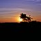 Entardecer na BR 163 no Mato Grosso do Sul.