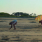 Looking for seashells