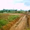 Arantes Alimentos - Unid. Monte Verde