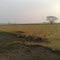 vista para a fazenda