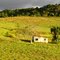 Vegetação, campo e casa abandonada - arredores do Rodoanel - trecho Sul, R.M. São Paulo, SP, Brasil.