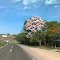 Piracicaba-SP (Artemis)