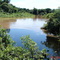 Rio Miranda - Pantanal