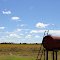 Fazenda pantaneira de produção de arroz