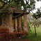 old coffee farm near Pederneiras (SP)