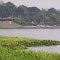 Clube de campo - Margens do Rio Tietê