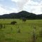 Fazenda são vicente
