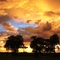 This South Pantanal - Brazil