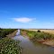 SAN FRANCISCO FARM - MIRANDA - MATO GROSSO DO SUL STATE - BRASIL - SOUTH AMERICA